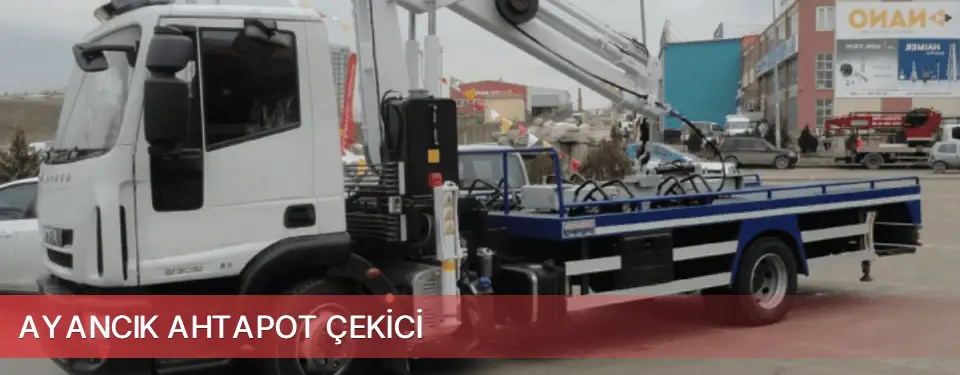 Ayancık İlçemi Ahtapot Çekici