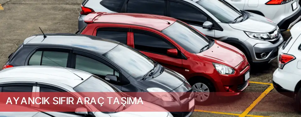 Ayancık İlçemi Sıfır Araç Taşıma